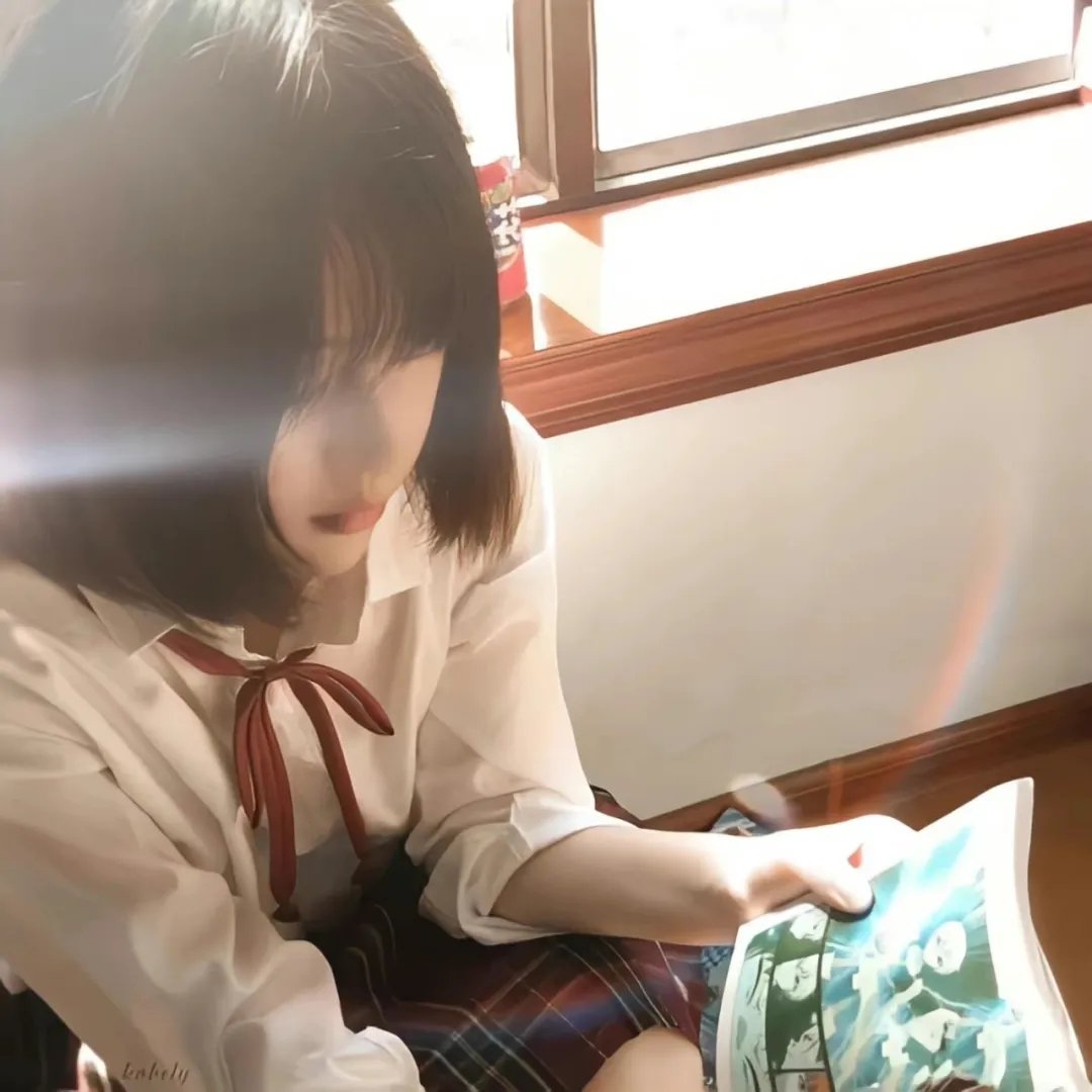 如果德川家康成为总理大臣