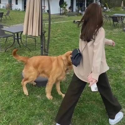 爱我你再亲亲我